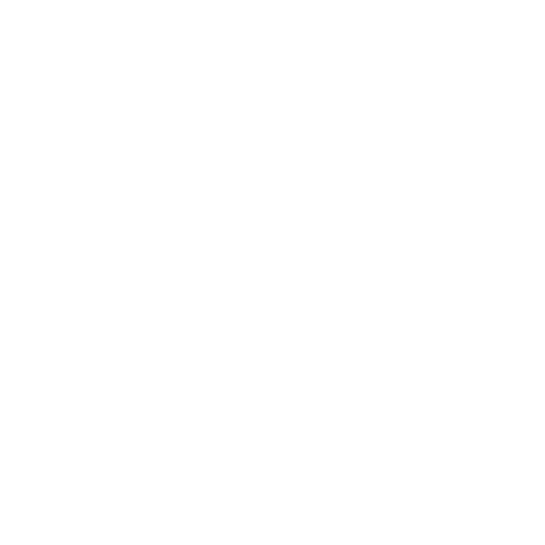 Logo MG Sport Performance Michael Guzzi